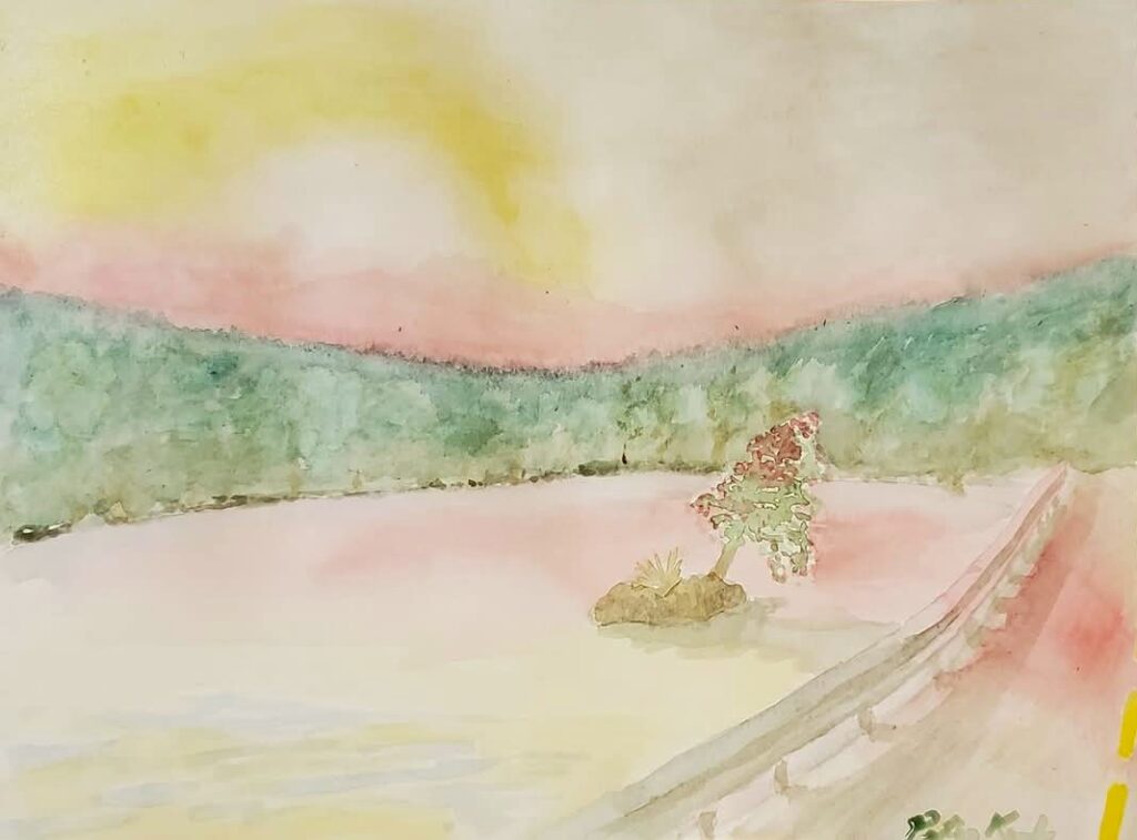 Knights Pond, 2021